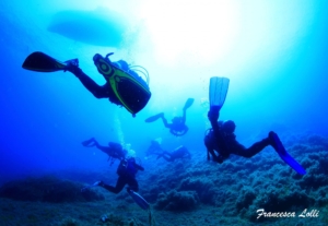 corsi open water diver